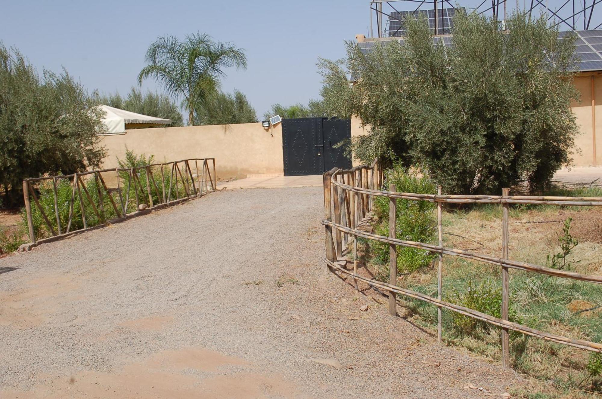 Villa Baraka Marrakesh Bagian luar foto